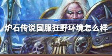 炉石传说国服狂野环境怎么样 炉石传说国服回归狂野环境介绍 