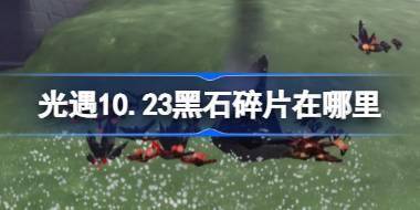 光遇10.23黑石碎片在哪里 光遇10月23日黑石碎片位置攻略 
