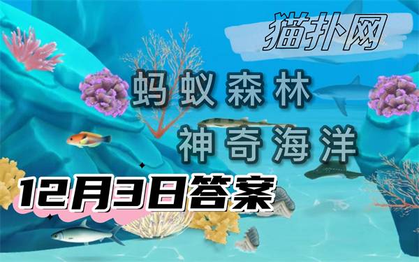 蚂蚁森林神奇海洋12月3日答案2024-人们所见的荧光海滩通常是以下哪种发光生物造成的