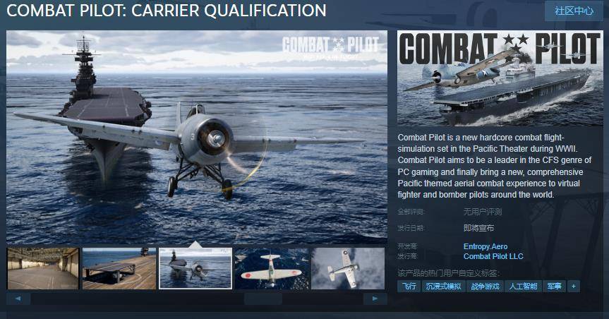 《COMBAT PILOT: CARRIER QUALIFICATION》Steam页面开放，硬核二战飞行模拟游戏震撼登场