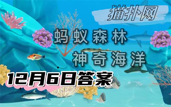 蚂蚁森林神奇海洋12月6日答案2024-神奇的海洋生物盲鳗在受到惊吓后会