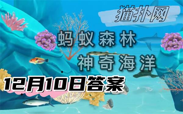 蚂蚁森林神奇海洋12月10日答案2024-以下哪种海洋生物俗称海核桃