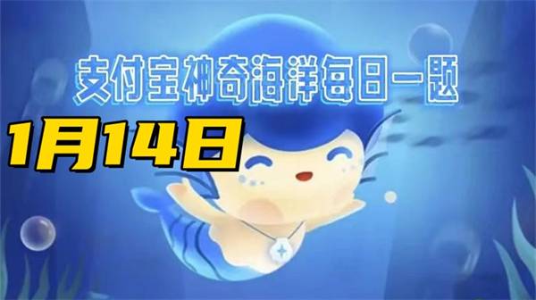神奇海洋1月14日答案2025-海洋中体型最小的哺乳动物是