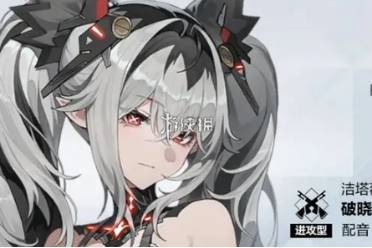 战双帕弥什洁塔薇破晓武器选择推荐
