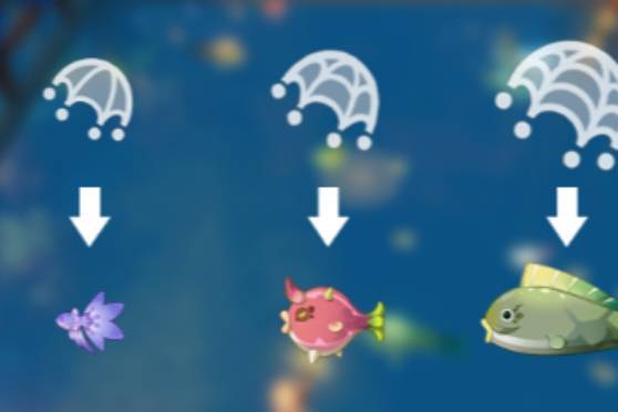 原神异域鱼鱼追渔行动攻略