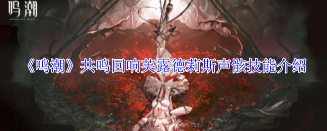 鸣潮海啸级声骸芙露德莉斯全解：核爆级输出的天花板配置！