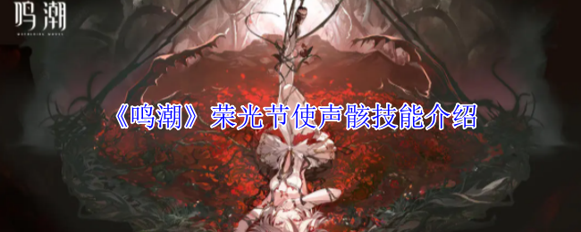 鸣潮荣光节使声骸全解析：巨浪级跳砸技能实战手册