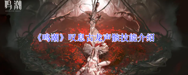 鸣潮叹息古龙声骸全解析 T0级熔岩核弹配置指南