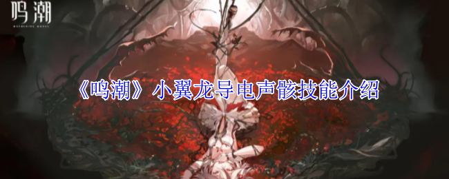 鸣潮小翼龙导电声骸实战解析 三连电击流核心配置