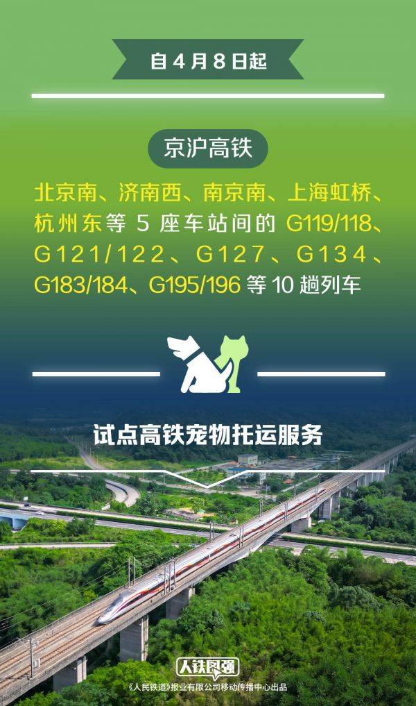 宠物猫狗可坐高铁了！铁路12306推出“宠物托运”功能