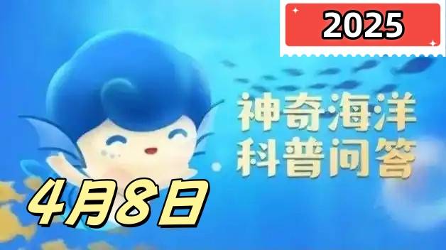 水母会睡觉吗-神奇海洋4月8日科普问答2025