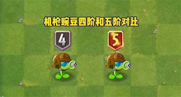 植物大战僵尸2机枪豌豆终极培养攻略：无尽模式称霸指南