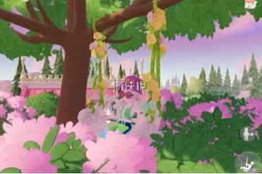 心动小镇春野令限定鸟拍摄位置