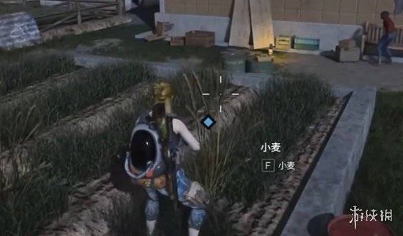 沧海攻略网11