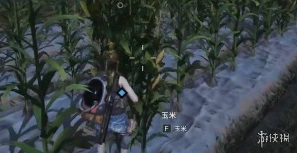 沧海攻略网12