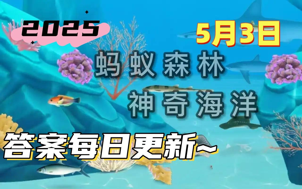 人们熟悉的石斑鱼属于-神奇海洋5月3日答案最新2025