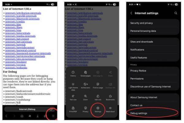 三星浏览器更新封堵漏洞，非支持设备无法绕行使用AI浏览助手功能