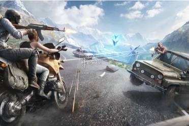 和平精英SLR清韵铃兰皮肤价格