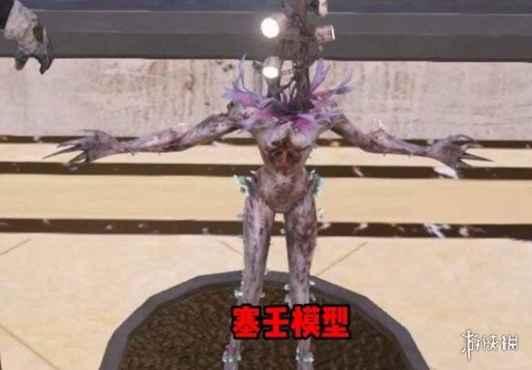 沧海攻略网6