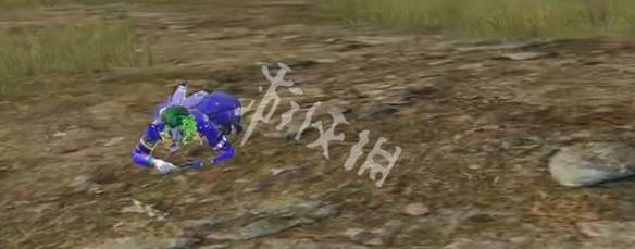 沧海攻略网11