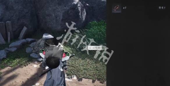 沧海攻略网5