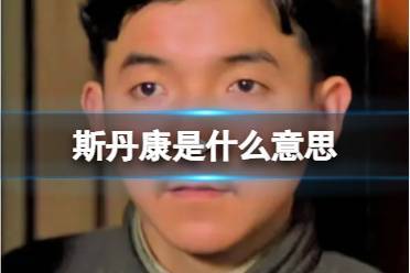 斯丹康是什么意思 斯丹康是什么意思网络用语