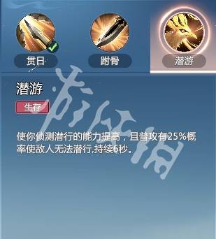 沧海攻略网34