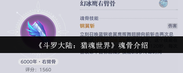 斗罗大陆猎魂世界魂骨是什么  斗罗大陆猎魂世界魂骨介绍