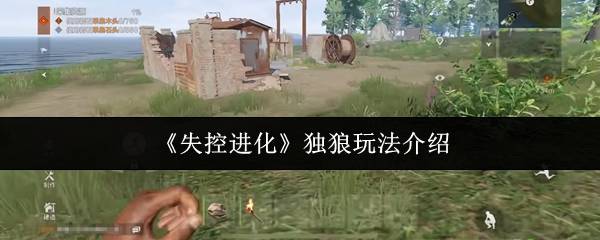 失控进化独狼制霸指南：单人掠夺流核心战术