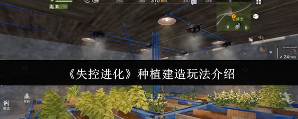 失控进化半自动农场建造终极指南