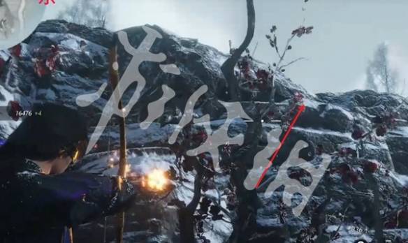 沧海攻略网63
