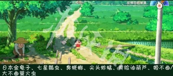 沧海攻略网6