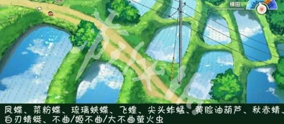 沧海攻略网5