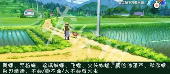沧海攻略网11
