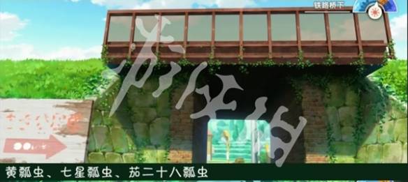 沧海攻略网15