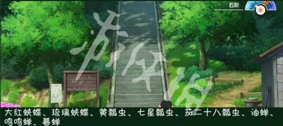 沧海攻略网21