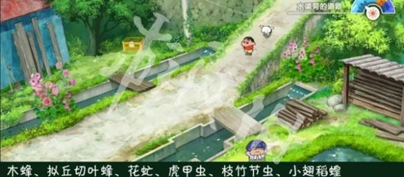 沧海攻略网20