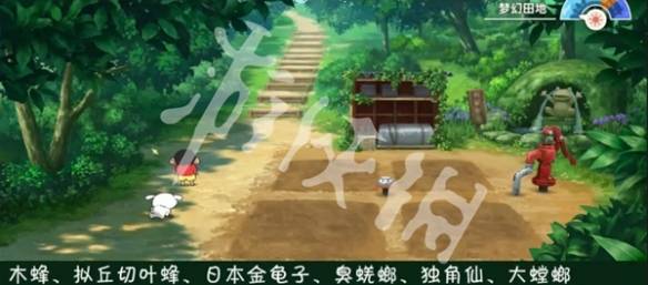 沧海攻略网24