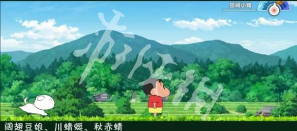 沧海攻略网33