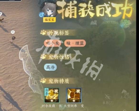 沧海攻略网5