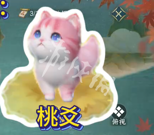 沧海攻略网4