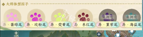 沧海攻略网6