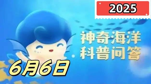 鹦鹉螺属于哪类动物-神奇海洋6月6日答案最新2025