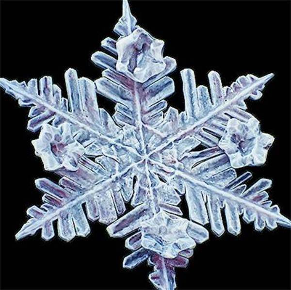 冰封利刃降临！光与影33号远征队吕涅雪结终极获取指南