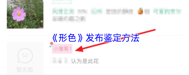 《形色》发布鉴定方法