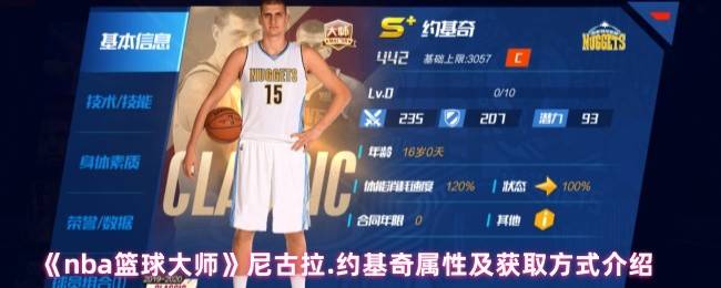 NBA篮球大师尼古拉·约基奇终极解析：全能巨兽的统治密码