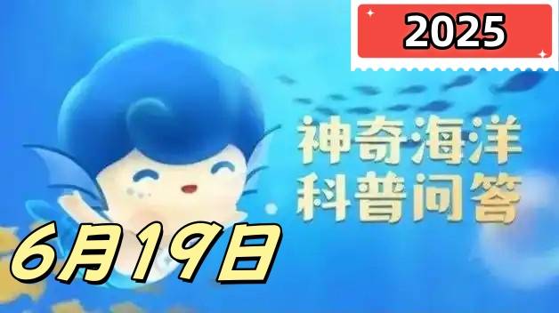 哪种鲨鱼有海洋猎豹之称-神奇海洋6月19日答案最新2025