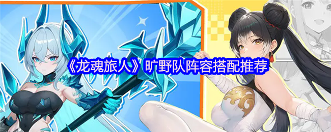 《龙魂旅人》旷野队阵容搭配推荐