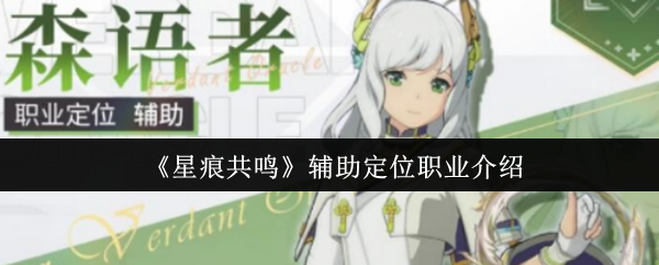 《星痕共鸣》辅助定位职业介绍