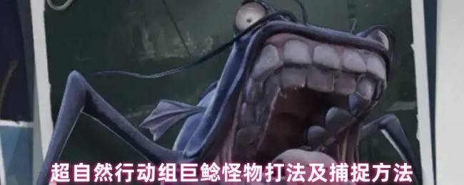 超自然行动组巨鲶终极狩猎指南：疾影捕捉与战术破解